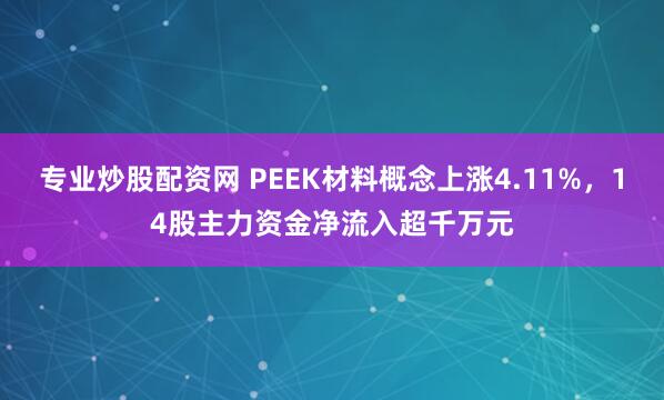 专业炒股配资网 PEEK材料概念上涨4.11%，14股主力资金净流入超千万元
